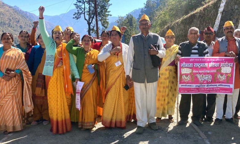 Cow devotees took out a rally in Thatur market demanding the status of cow as the mother of the nation