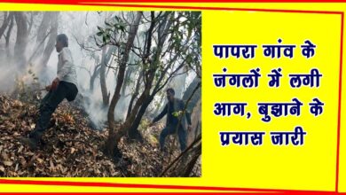 Fire broke out in the forests of Papara village of Devalsari range efforts to extinguish it continue