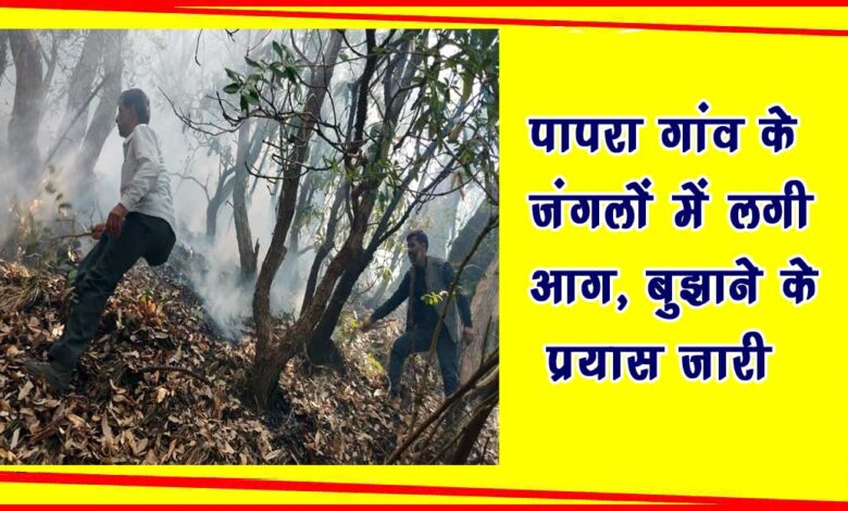 Fire broke out in the forests of Papara village of Devalsari range efforts to extinguish it continue