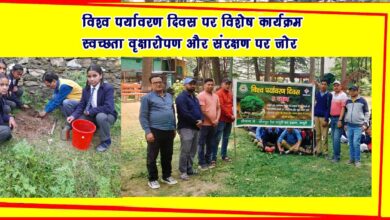 Special program on World Environment Day Emphasis on cleanliness tree plantation and conservation