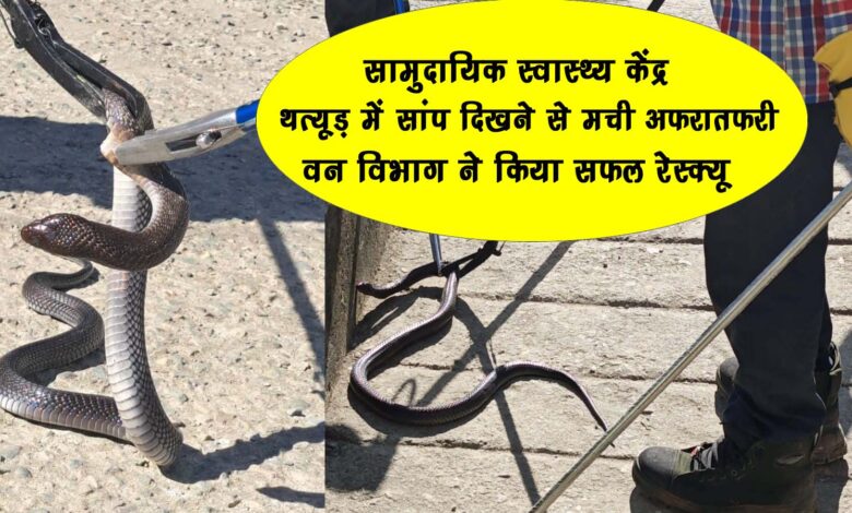 There was panic after seeing a snake in the Community Health Center Thatur the forest department did a successful rescue
