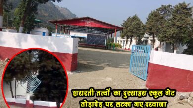 Audacity of mischievous elements School gate broken door hung on tree