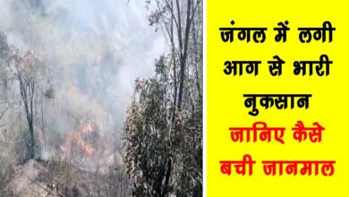 Forest fire causes huge loss know how lives and property were saved