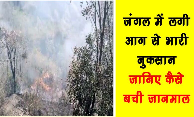 Forest fire causes huge loss know how lives and property were saved