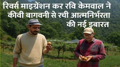Success Story of Reverse Migration
