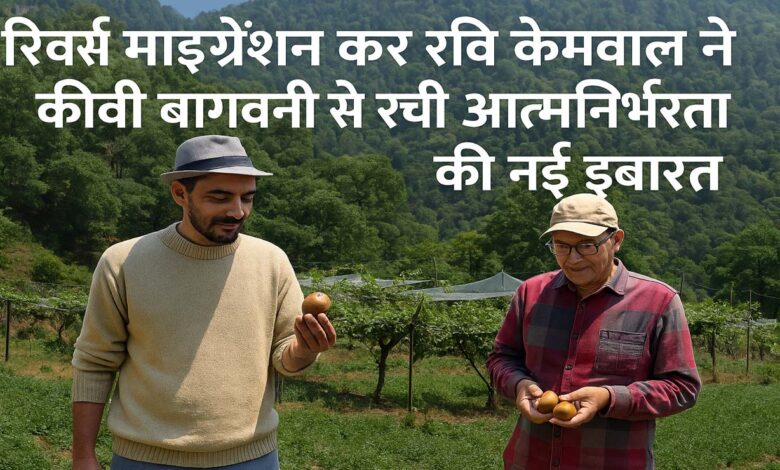 Success Story of Reverse Migration