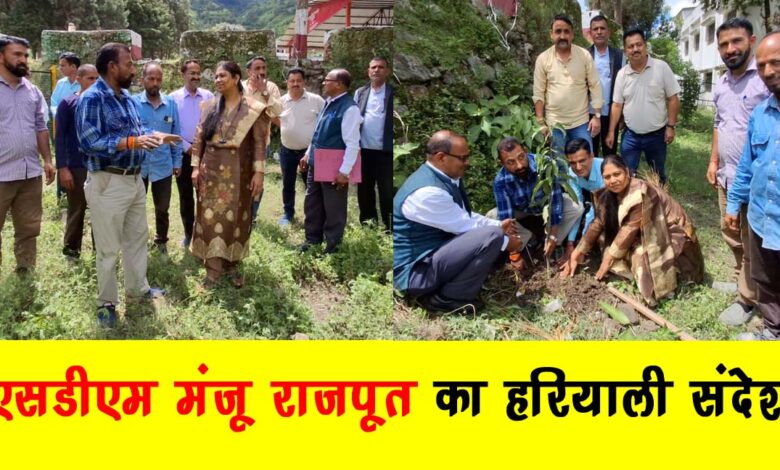 Green message of SDM Manju Rajput