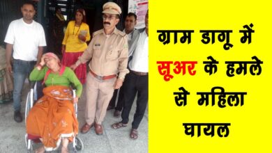 Woman injured in pig attack in Dagu village