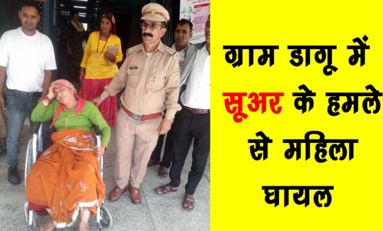 Woman injured in pig attack in Dagu village