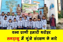 Wildlife is our heritage – conservation slogans echo in Lagadasu