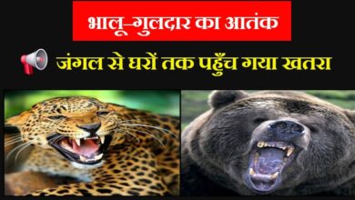 Bears and leopards have created panic in several villages of Jaunpur block increasing anxiety among villagers