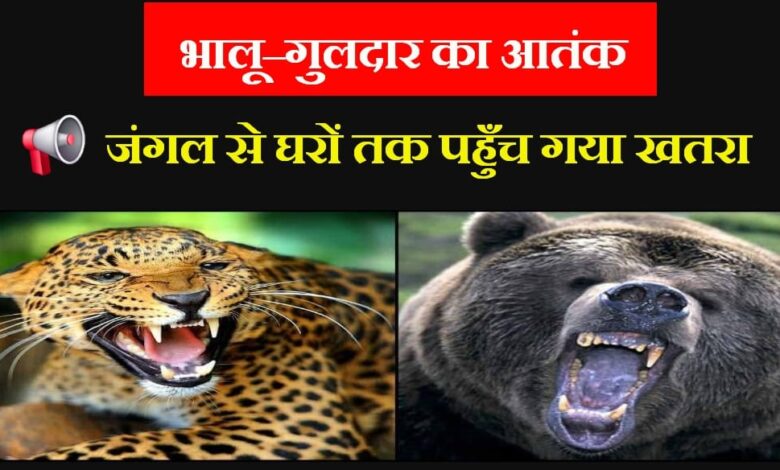 Bears and leopards have created panic in several villages of Jaunpur block increasing anxiety among villagers